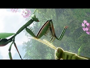 Praying Mantis Survival Released! (Nature & Life - Drunk On Nectar Gameplay)