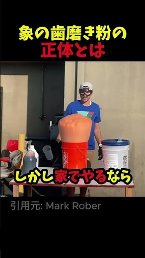 象の歯磨き粉の正体とは #検証 #実験