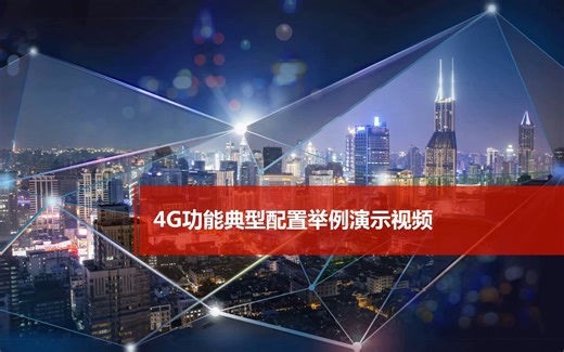 4G功能典型配置举例