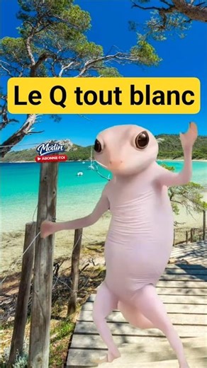 😂 T'es à la plage mais t'as pas de bronzage #michaeljackson