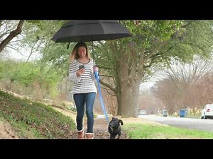 Best Video Doorbell - Introducing ADT Video Doorbell