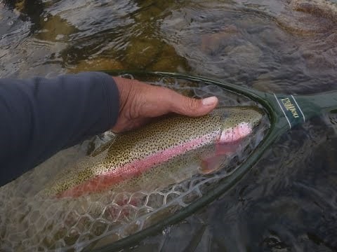 Streamer Fishing Techniques by Ard Stetts