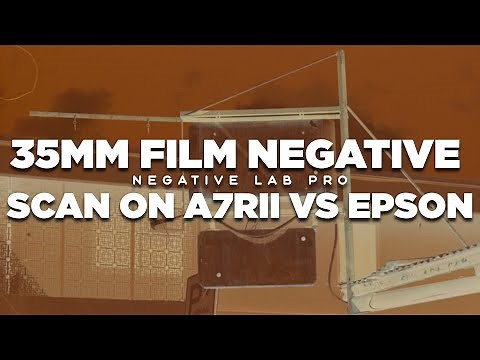 Scanning film negatives: Negative Lab Pro vs Epson V600 #filmphotography #colorplus200