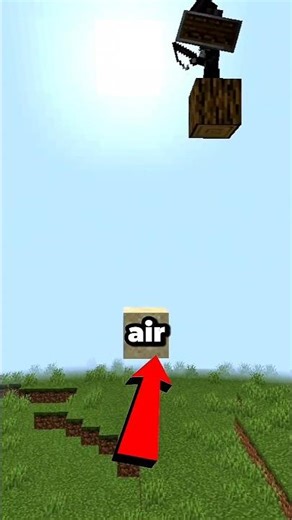 You Can Move Blocks In Mid Air?! 🤯 #minecraft #shorts