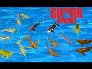 Shark Week! Ocean Tube by Animal Planet