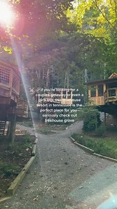 Treehouse Grove - Unique Vacation Spot in Tennessee