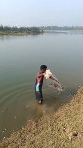 Beautiful net fishing viral video 🐠🐋🐟 #fish #CastNetFishing #newyork #reels #netfishing #fishing #fishinglife #usa | Tulu Fishing