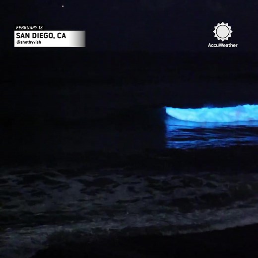 10K views · 473 reactions | Bright, glowing, bioluminescent waves light up Pebble Beach in San Diego, CA.  | AccuWeather | Facebook