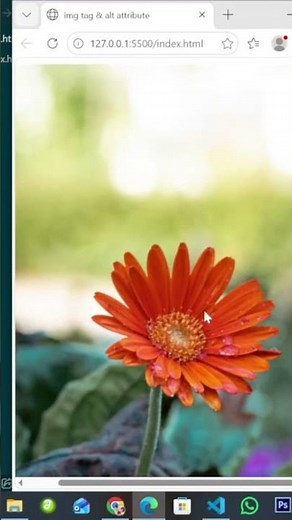 HTML Image Tag & Alt Attribute Tutorial
