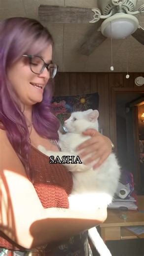 And all three got adopted last year!! My first hoarding case of 60 cats I fixed them all and rehomed everyone except baby and Baxter! | Project Meow