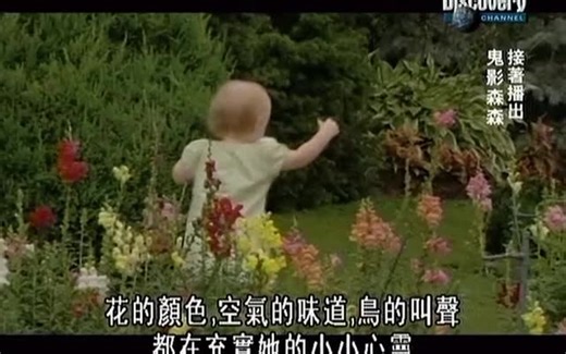 探索频道纪录片《婴儿成长》全六集 中文字幕 婴儿纪录片