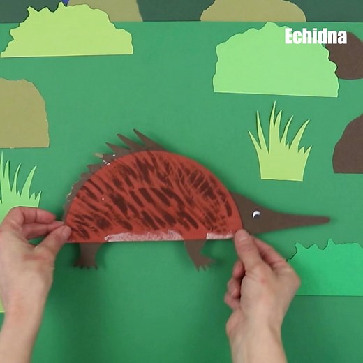 Paper plate Aussie animals—all the favourites are included in our paper plate Australian animal collection https://www.thecrafttrain.com/australian-paper-plate-animals/ | The Craft Train