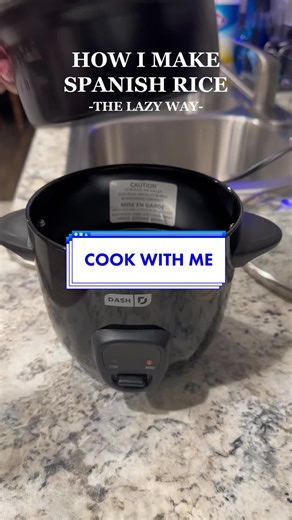 Perfect Rice Every Time with My Mini Rice Cooker!