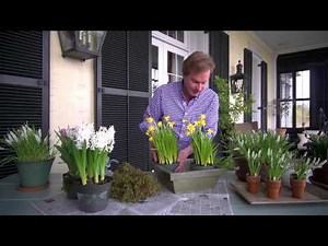 How to Make a Spring Flowering Bulb Gift Basket