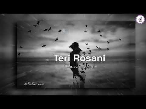 TERI ROSANI | Slowed +Reverb | Lofi Song #lofi #trending #music