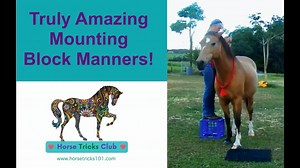 496 reactions · 112 shares | How do you get on your horse? Here are 3...