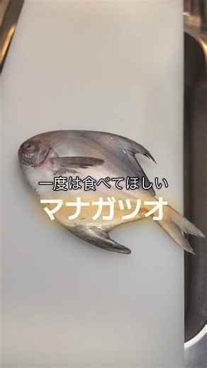 【マナガツオ】塩焼き、西京焼き…どっちも本当に美味しい！ぜひ食べていただきたい！#マナガツオ #焼き魚 #オススメの魚#ダイソー包丁