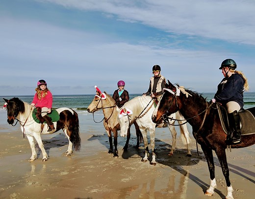 Crane Beach Horseback Rides - English, western. October thru April