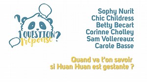 28K views · 540 reactions | #bbpandaoupas ? "1 question / 1 réponse", ça continue ! Antoine vous explique tout sur les pandas  | Zoo de Beauval | Facebook