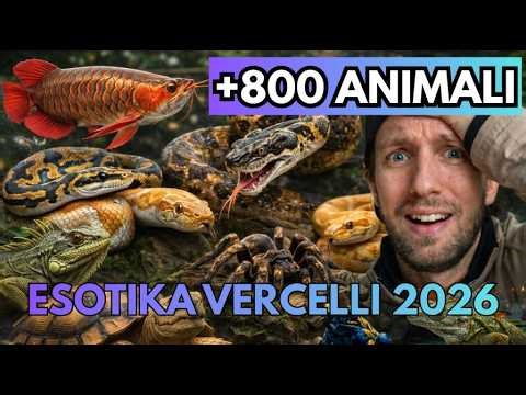 Ho trovato QUESTI ANIMALI a ESOTIKA VERCELLI 2026…
