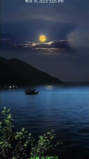 Dask til dawn #short