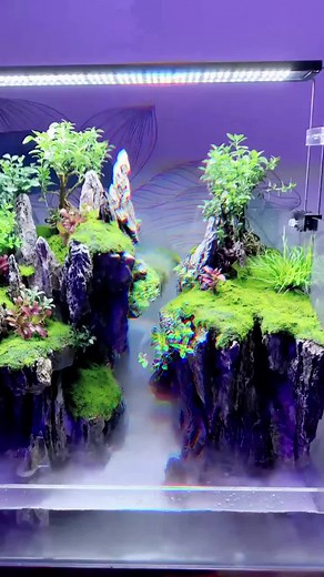 Master Level Aquarium Landscape Design with Natural Rockery Style