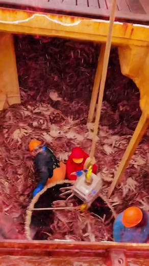 Season 21 of Deadliest Catch: King Crab Adventures
