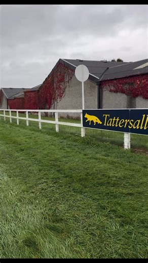 15K views · 134 reactions |  The Irish point-to-point season commences this weekend, and course work is ongoing here at Tattersalls Ireland ahead of fixtures on Oct 26 & Dec 7.  Eamonn McEvoy explains more … | Tattersalls Ireland | Facebook