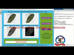 Mango Leaf Disease Detection Using Image Processing With Source Code | Matlab Project Plant Disease