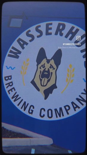 Stranger Things Party Ideas and Decorations