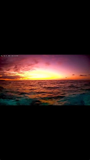 27K views · 516 reactions | explore.org on Reels | Facebook