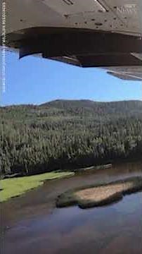 Why are fish falling from the sky in Utah? #shorts