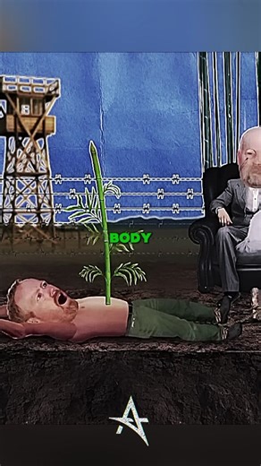 Can Bamboo Grow Through the Human Body? Myth Explored