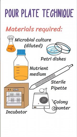 Pour plate technique | Microbiology | Isolation techniques #bacteria #microbiologylab #microbiology
