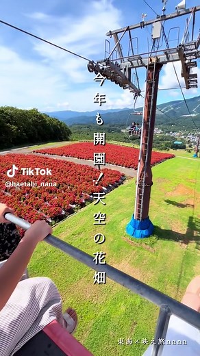 天空の花畑での秋の楽しみ