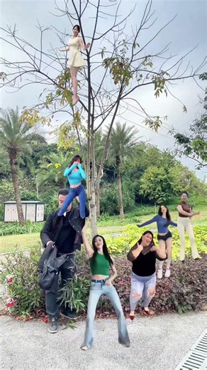 This is a real money tree. #I shoot special effects on Douyin #Douyin Partner Program