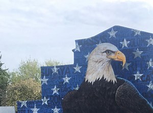 Bald Eagle Live Nest Cam with Jackie and Shadow and Their Eggs