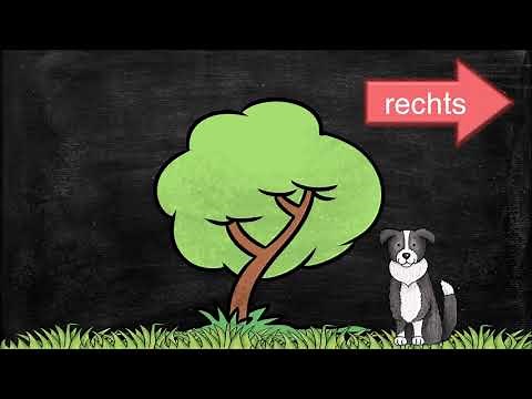 Lagebeziehungen - rechts/links - oben/unten - auf/unter
