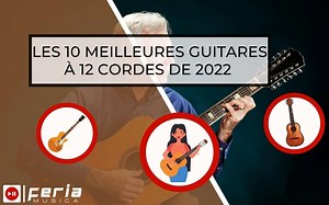 Les 10 Meilleures Guitares à 12 Cordes [Guide] | Feria Musica
