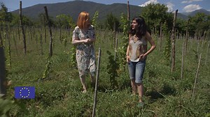 Georgia: From Silk Road crossroads to EU connections (part 2)