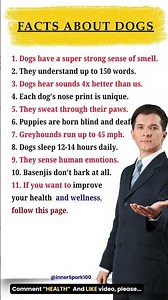 Incredible Facts About Dogs That Will Surprise You