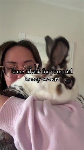 if you’re thinking about getting a bunny, here’s some things to think about first!! Feel free to leave a comment if you have any questions about bunnies, fostering, or taking care of them- they’re a niche animal, and the more info you have, the better! #bunnymom