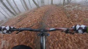 POV Gloved mountain biker riding a bike downhill a narrow bumpy forest path, passing between the trees and jumping over bumps
