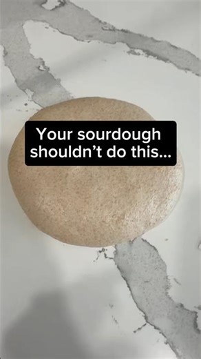 Your sourdough shouldn’t flatten like this after preshaping.🫠