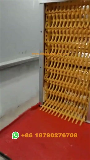 Automatic egg collection machine and automatic manure cleaning machine