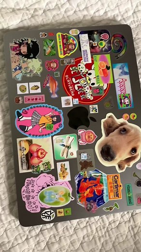Express your style with a unique laptop sticker collection!