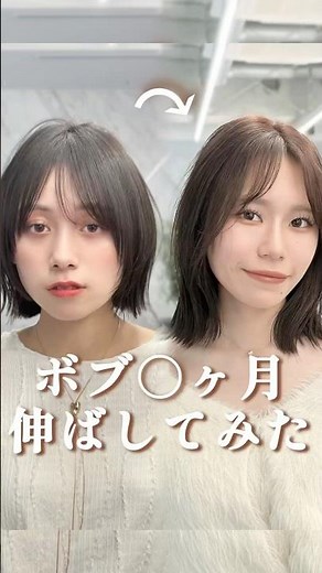 ボブ‪‪は何ヶ月で肩まで伸びる❓伸ばしたい方ぜひ参考にしてみてください🌟#ボブ #ボブカット #ボブヘア #カット動画 #髪型 #ヘアカタログ #shorts #表参道美容室 #ヘアアレンジ
