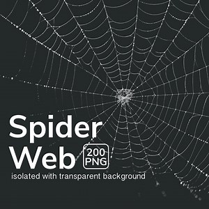 Gothic Spider Web Clipart | 200 Halloween Pngs (digital Download) - Etsy