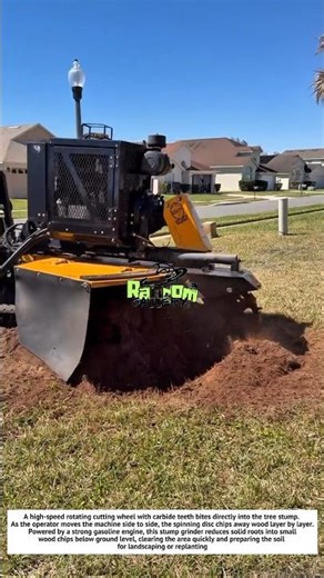 Powerful Stump Grinder Machine Destroying Tree Roots Fast! 🌳