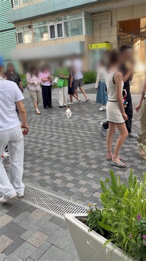 Experience of Having a Cat Who Loves Shopping